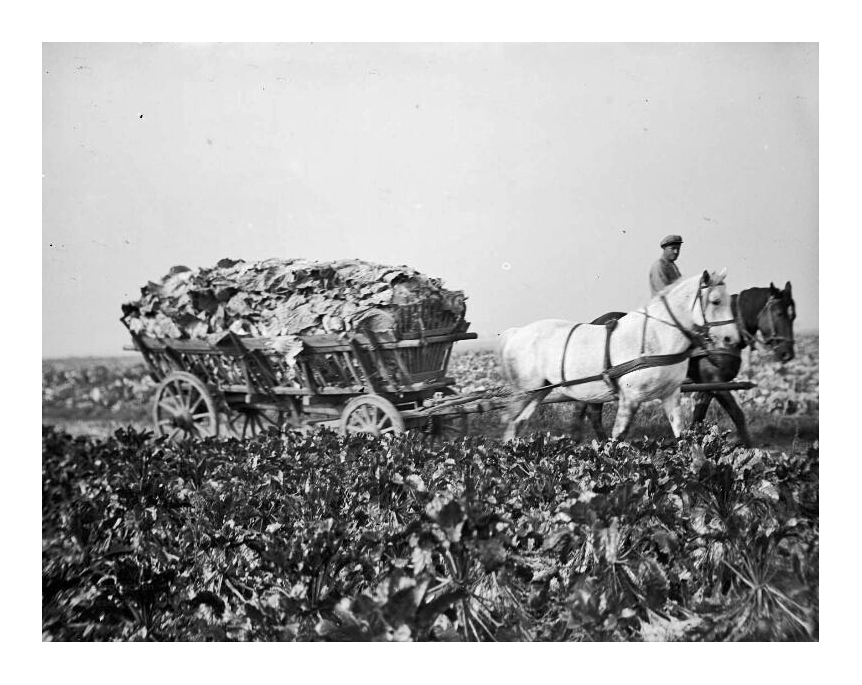 La plus ancienne biotechnologie de l&rsquo;humanité