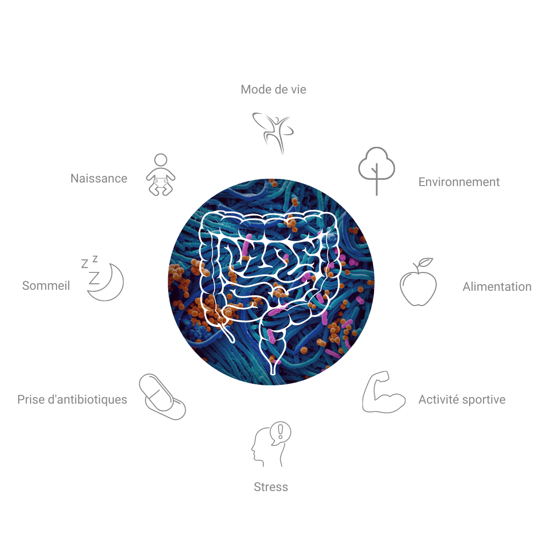 Lactofermentation, Fermentierra et l’analyse du microbiote Nahibu: Get your shit straight!