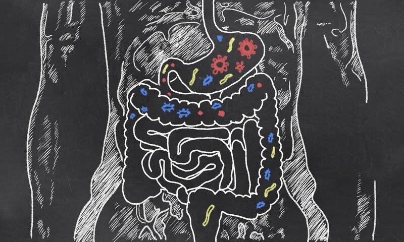Les légumes lactofermentés soutiennent l’activité physique et la récupération.